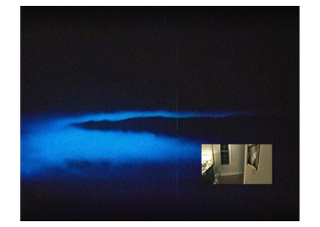 Disgust as Pleasure 01