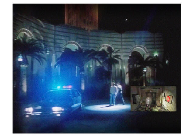 Disgust as Pleasure 03