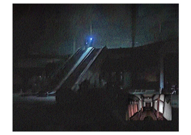 Disgust as Pleasure 02